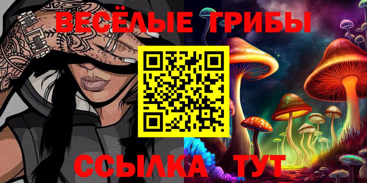 Галлюциногенные грибы Cubensis Азнакаево
