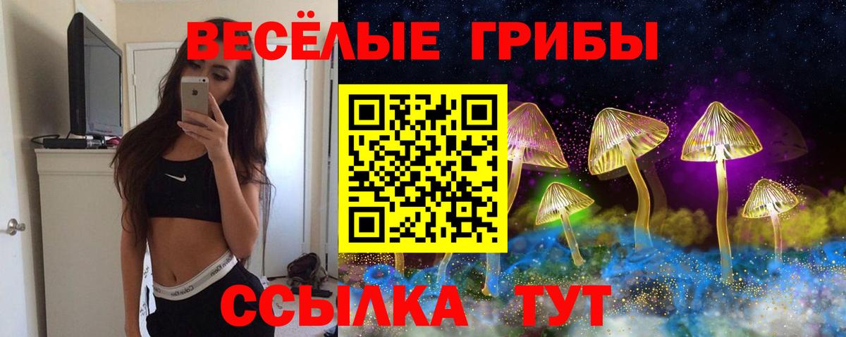 Азнакаево  Псилоцибиновые грибы MAGIC MUSHROOMS  Вход с VPN 
